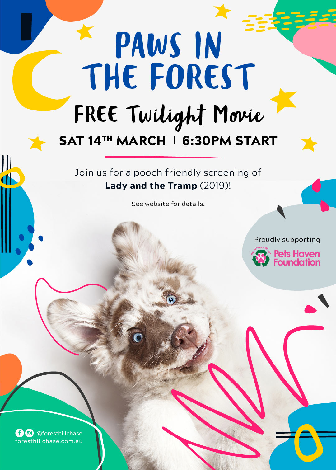 Twilight Movie for Dogs Design for Digital Screen